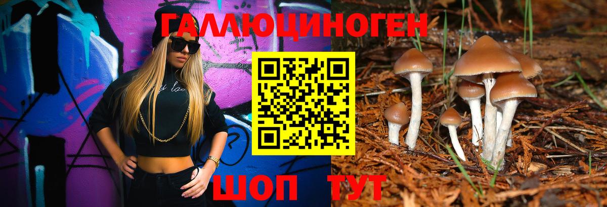 Псилоцибиновые грибы Magic Shrooms  Вход с VPN  Псилоцибиновые грибы Psilocybe  Верхний Уфалей 